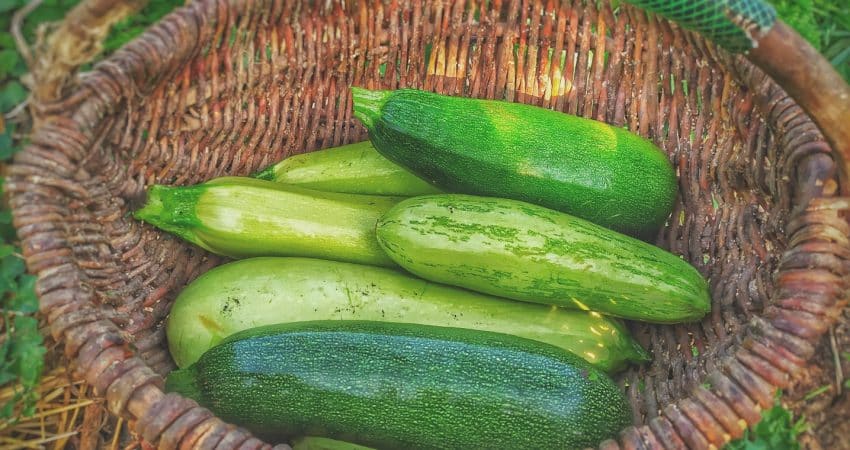 green cucumbers on round brown wicker basket
